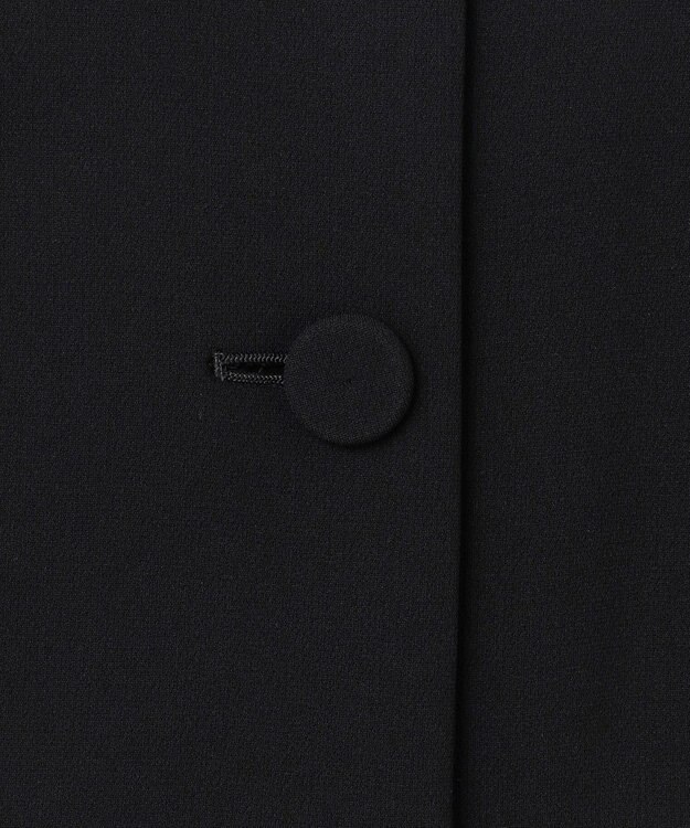 GRACE CONTINENTAL シアスリーブレイヤードレス ブラック