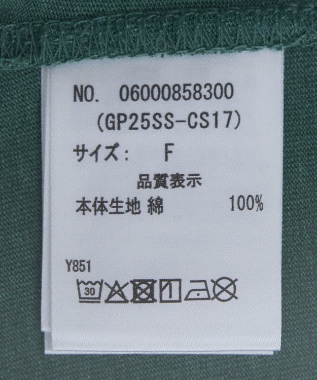 Green Parks ・ＤＯＵＢＬＥ　ＦＬＡＧＳ　ピグメント切替ノースリ Green