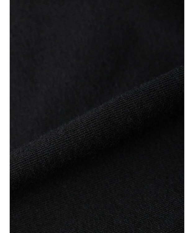 Green Parks ・ｓｗｉｎｇ　ｂｙ　ロゴ刺繍フレンチＴＥＥ Black