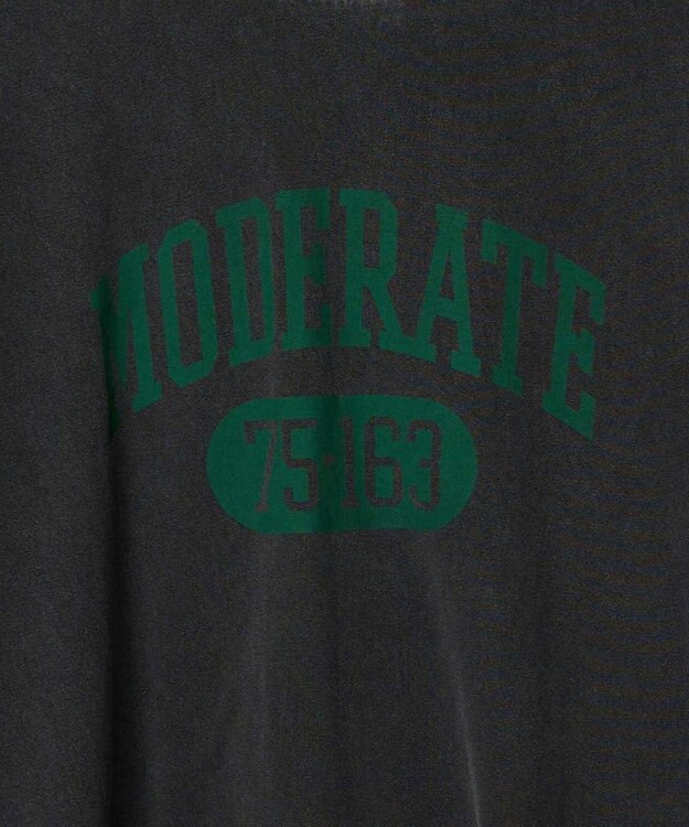 WEGO ピグメントロンT 柄4