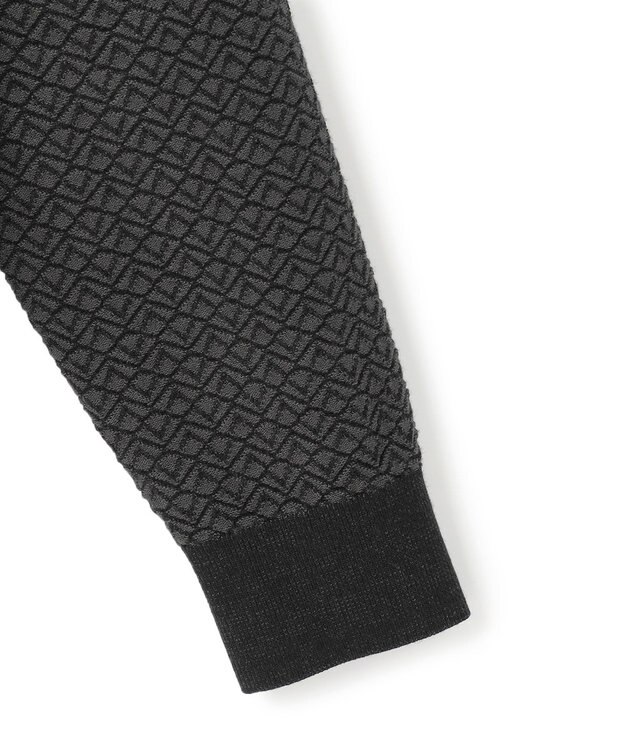 JOSEPH HOMME 【イージーケア】 ヴィスコースリンクス　ジップアップニットフーディー グレー系