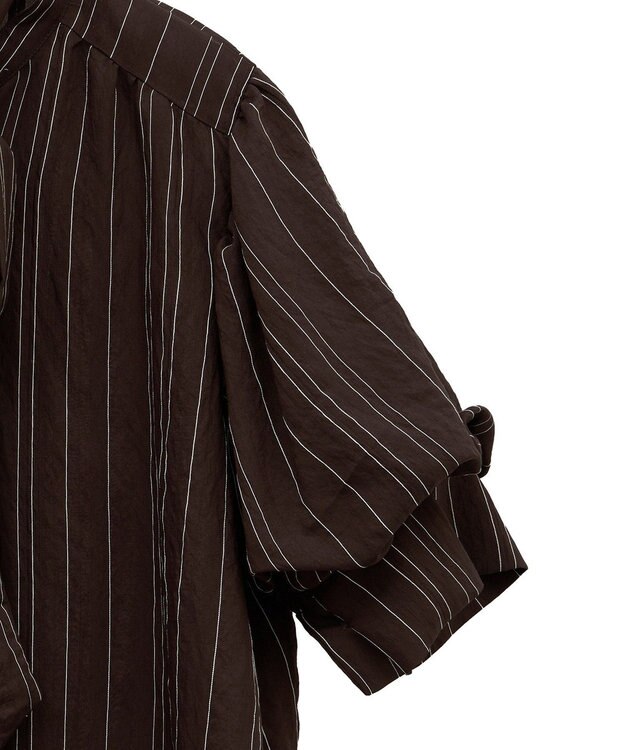 Green Parks ２ＷＡＹボウタイバルーンスリーブブラウス Brown