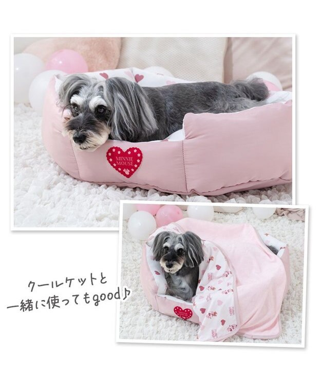 PET PARADISE ディズニー ミニーマウス クールカドラー 《ハート柄》 Ｍ ホワイト×ピンク