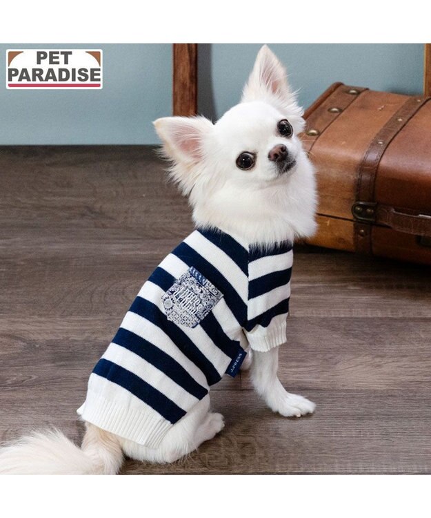 PET PARADISE J.PRESS ボーダー綿ニット 小型犬 ホワイト×ネイビー