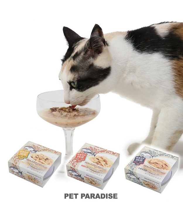 PET PARADISE キャットフード ウェット 缶 まぐろほぐし 75ｇ  《しらす/ 紅鮭/ ほたて》単品 しらす入り