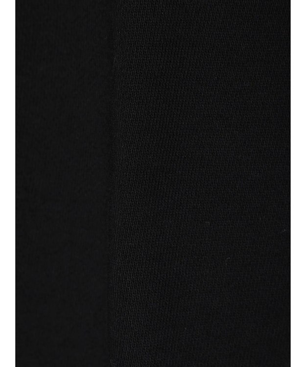 Green Parks ■ＰＵＬＰ　ＦＩＣＴＩＯＮ　ポスターｐｔスウェット Black