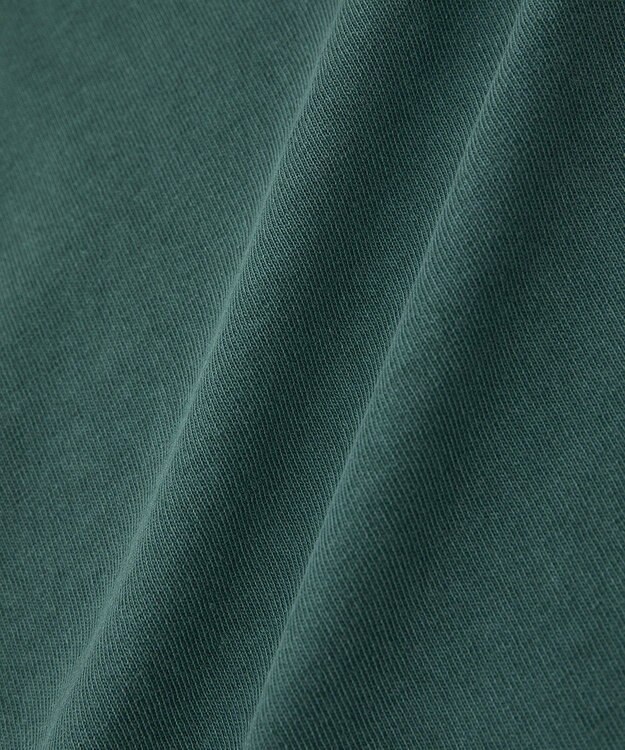 Green Parks ・ＤＯＵＢＬＥ　ＦＬＡＧＳ　ピグメント切替ノースリ Green