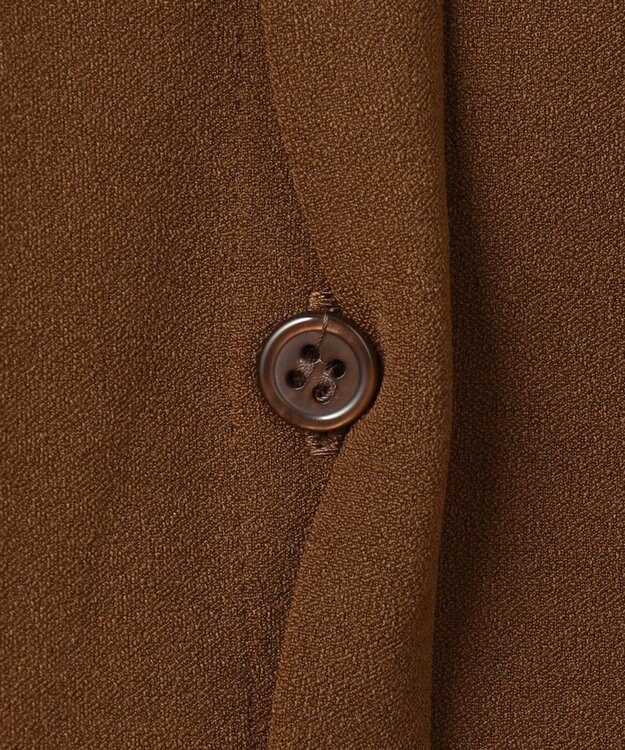 ICB 【洗える】マラボーテジョーゼット ボウタイデザインカットソー コーヒー系