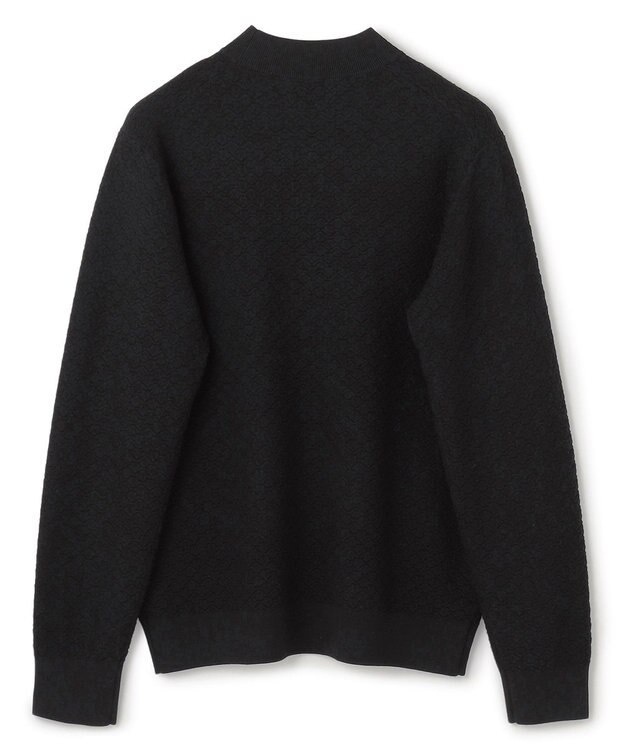 JOSEPH HOMME 新型【洗える】ヴィスコースリンクス　モックネックニット ブラック系