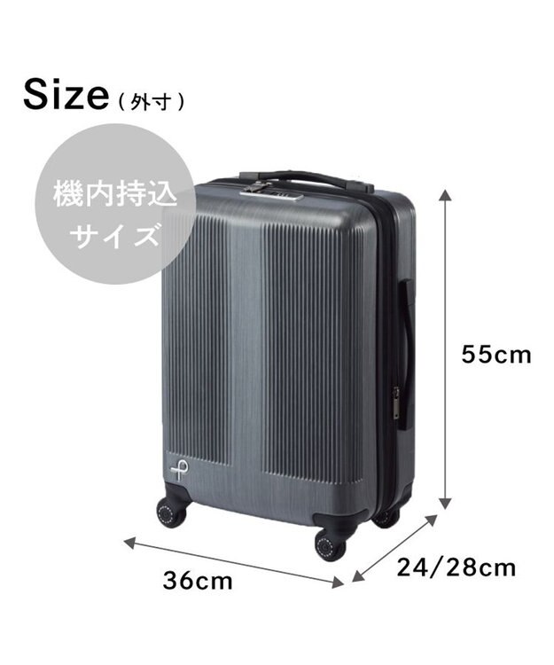 ACE BAGS & LUGGAGE 【雑誌掲載】 Proteca トラクション2 スーツケース 39L 機内持込 01491 プロテカ 日本製 ガンメタリックヘアライン