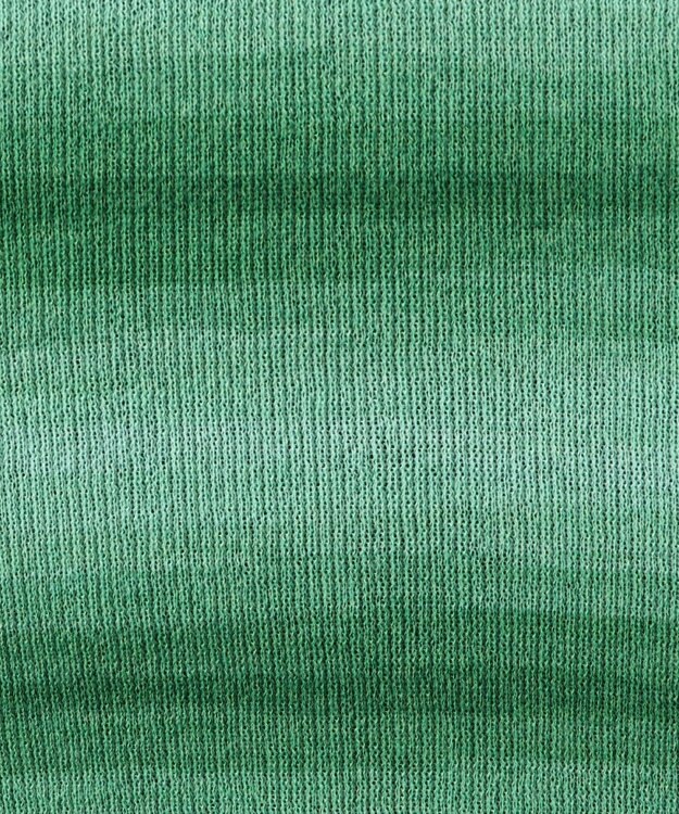 WEGO グラデーションちびニットT グリーン