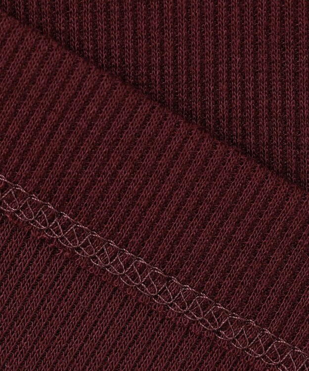 自由区 【XSサイズ～/洗える】ベアテレコ ボトルネック カットソー ワイン系