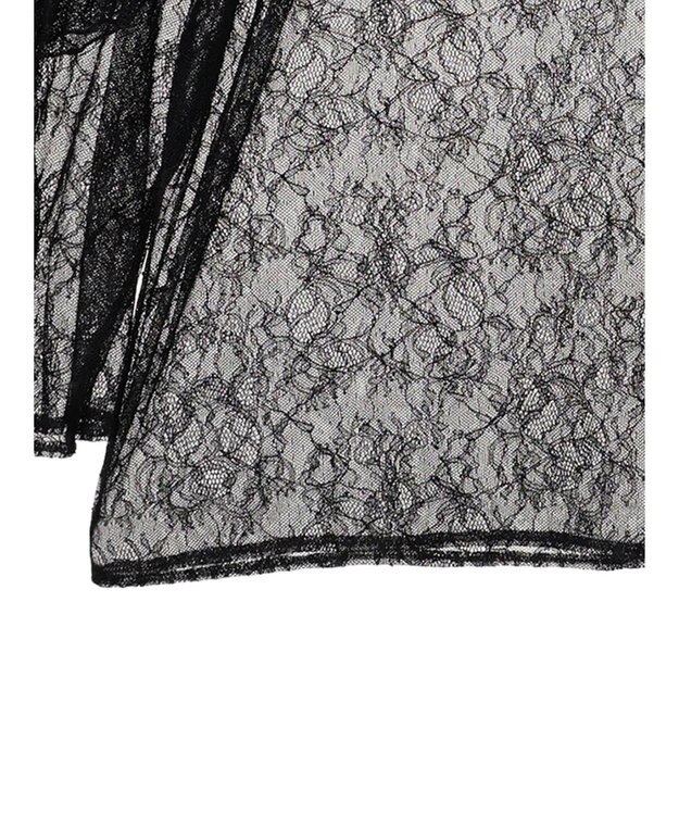 Green Parks ・ＡＮＤ　ＳＥＡＲＣＨ　レーシーラッフルスリーブチュニック Black