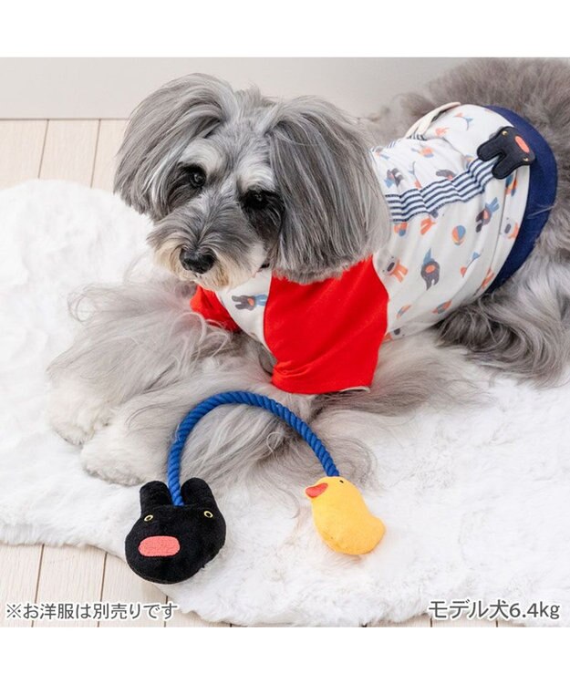 PET PARADISE リサとガスパール ロープトイ 《ガスパール》 ネイビー