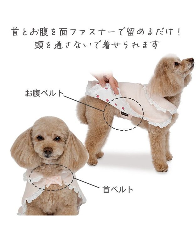 PET PARADISE ペットパラダイス お手軽 ポンチョ 《いちご》 小型犬 ピンク