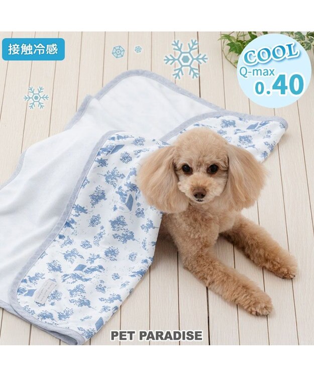 PET PARADISE ペットパラダイス クールケット 《トワルドジュイ》 小型犬 ホワイト×ブルー