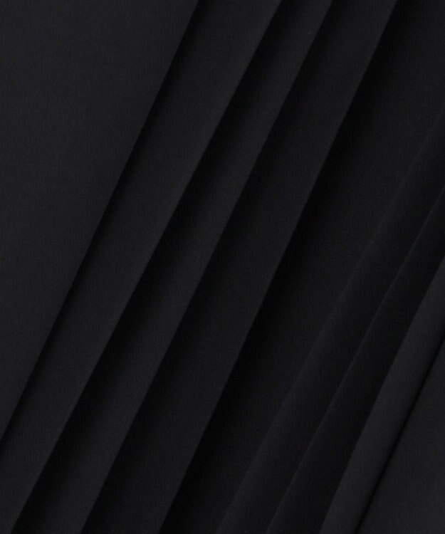 J.PRESS LADIES S 【WEB限定カラーあり】TC ライトタンブラー プリーツ スカート 【WEB限定】ブラック系