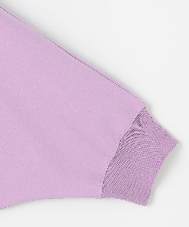 J.PRESS LADIES L TCポンチ ニットコンビ ドルマン カットソー ラベンダー系