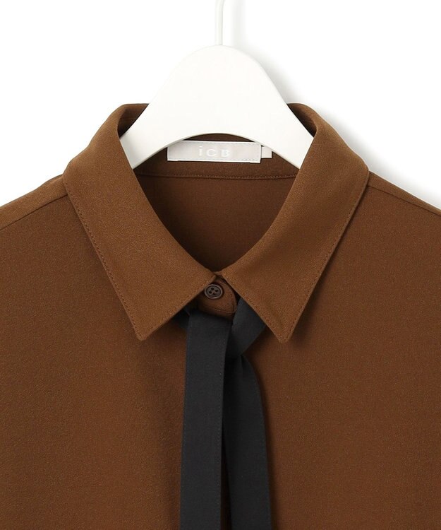 ICB 【洗える】マラボーテジョーゼット ボウタイデザインカットソー コーヒー系