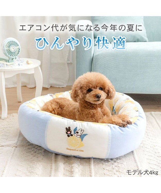 PET PARADISE リサとガスパール シトラス クールカドラー Ｍ ホワイト×ブルー