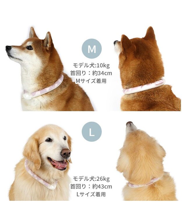 PET PARADISE ペットパラダイス 28℃クールリング  《くま》 Ｌ 大型犬 くま柄