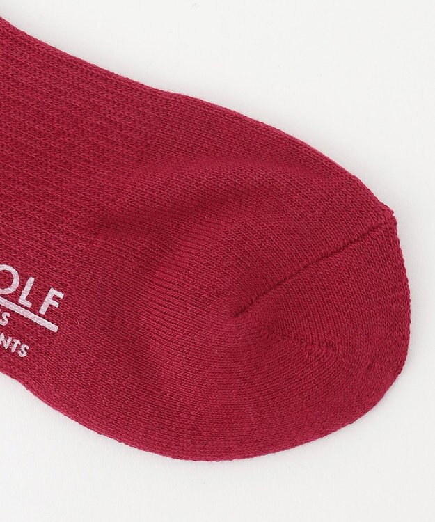 23区GOLF 【WOMEN】ロゴハイソックス ワイン系