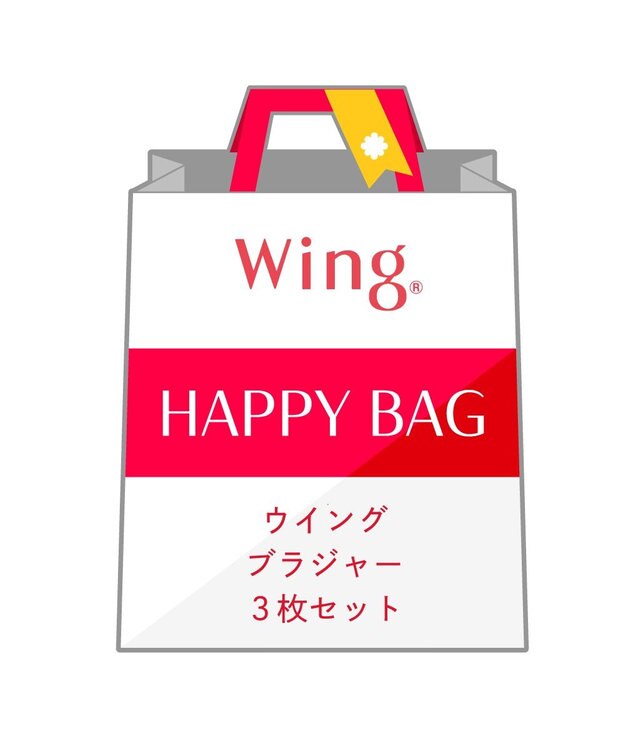 Wing 【2026年HAPPY BAG】 ウイング ブラジャー 3枚セット その他