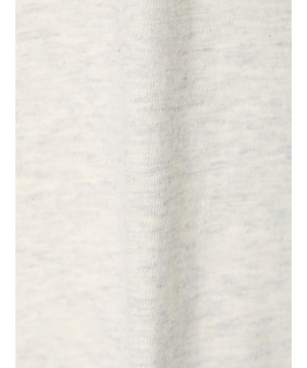 Green Parks ■Ｃｈａｍｐｉｏｎ　リンガーＴ Gray