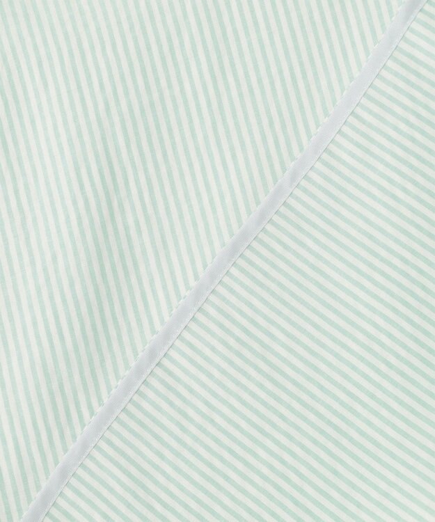 J.PRESS LADIES 【洗える】 コットンアセVis ストライプ バンドカラー ブラウス ライトグリーン系1