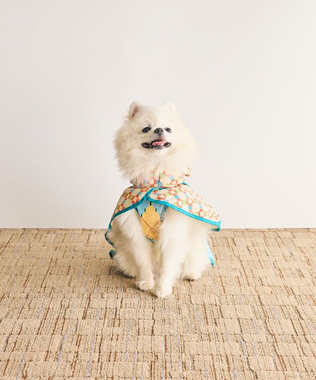 COQ PLAID ARGYLE ドッグポンチョ レインコート ベージュ