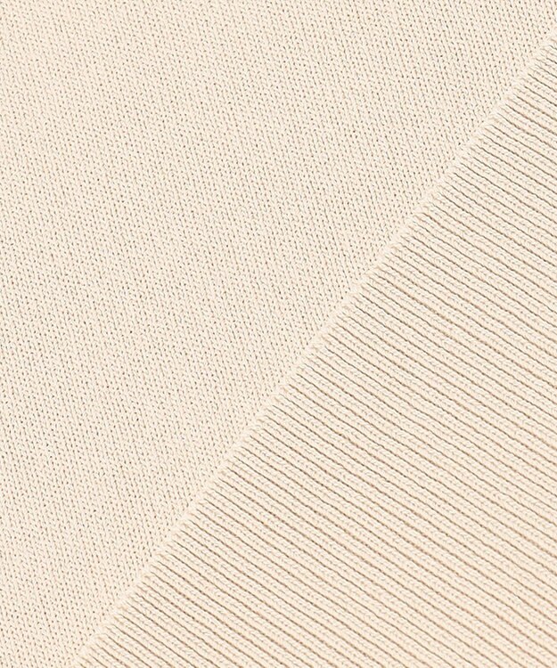 ICB 【WEB限定カラーあり・洗える】シンセティックハイゲージ Vネックプルオーバー ベージュ系