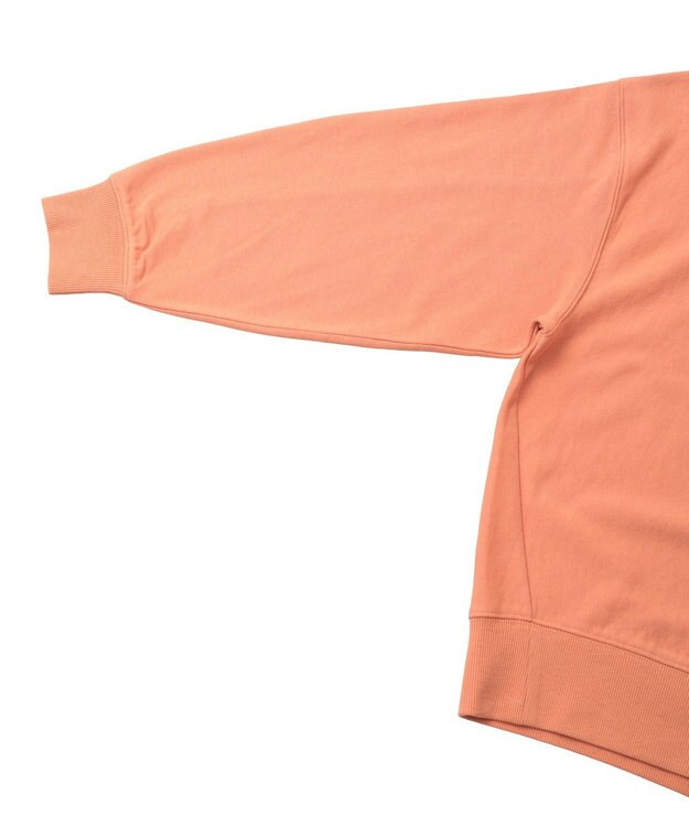 Green Parks 刺しゅうロゴ裏毛プルオーバー Orange