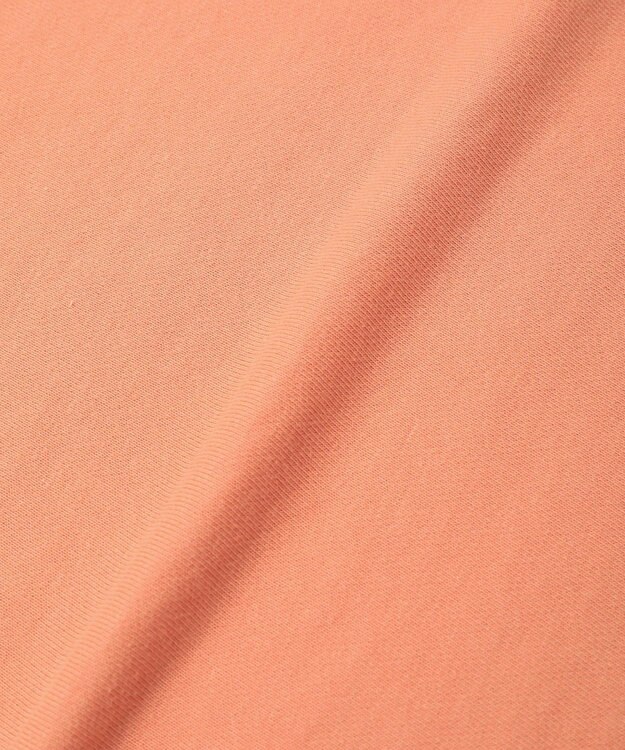 Green Parks 刺しゅうロゴ裏毛プルオーバー Orange