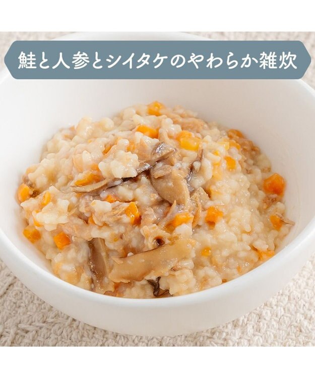 PET PARADISE 愛犬にやさしい スープごはん 鮭 0