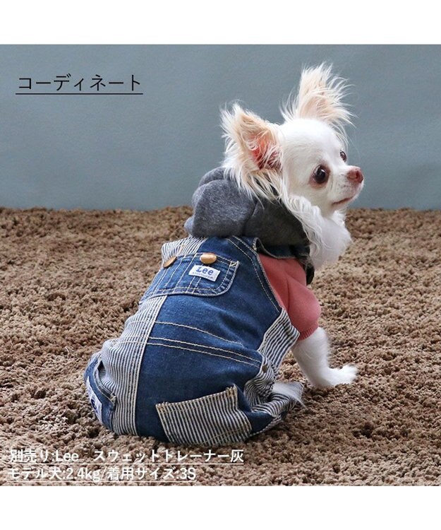 PET PARADISE Ｌｅｅ パッチワーク オーバーオール パンツつなぎ【小型犬】 紺（ネイビー・インディゴ）