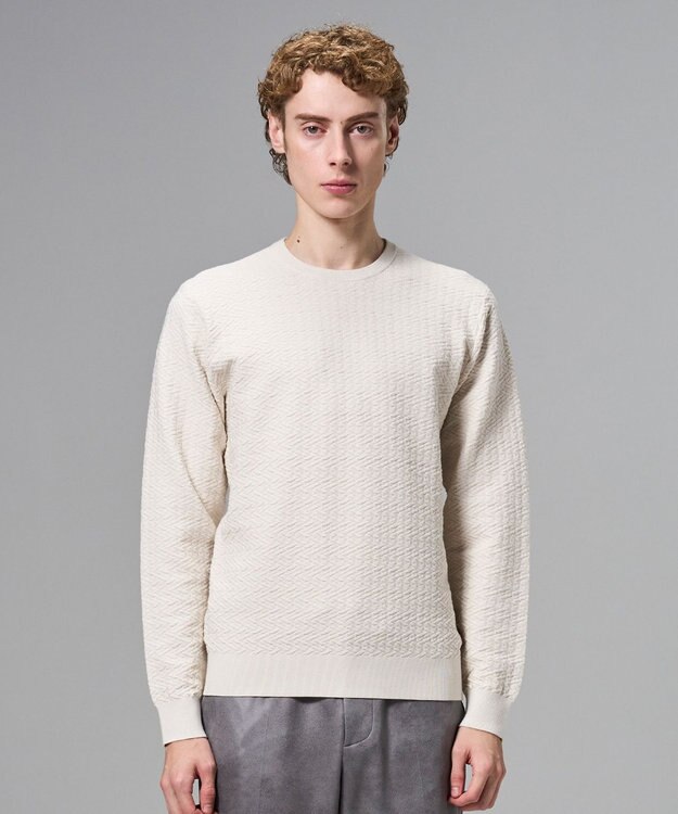 JOSEPH HOMME 新柄【イージーケア】 ヴィスコースリンクス　クルーネックニット アイボリー系