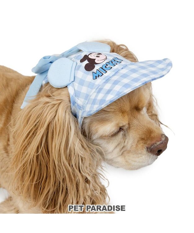 PET PARADISE ディズニー ミッキーマウス なかよし キャップ 《ブルー》 中型犬 ライトブルー