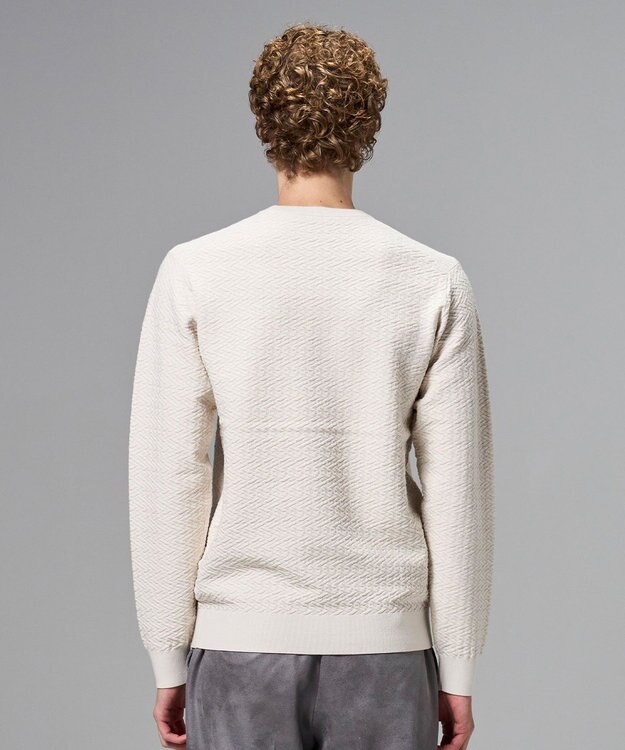 JOSEPH HOMME 新柄【イージーケア】 ヴィスコースリンクス　クルーネックニット アイボリー系