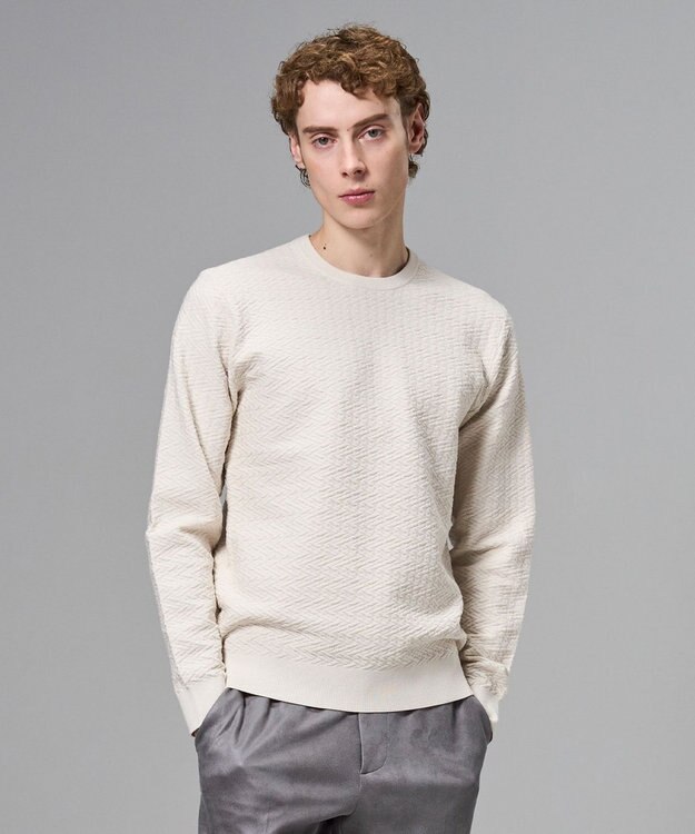 JOSEPH HOMME 新柄【イージーケア】 ヴィスコースリンクス　クルーネックニット アイボリー系