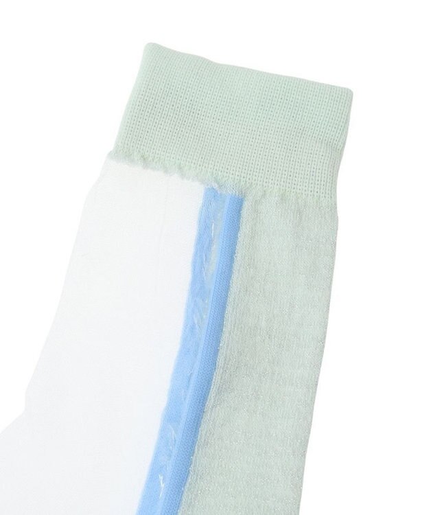 Green Parks ＪＡＭＧＡＲＤＥＮ　シアーラインラメソックス Light Green