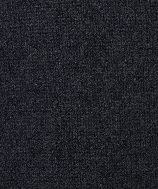 JOSEPH 【洗える】リュクスカシミヤハイネックニット Dark smoke