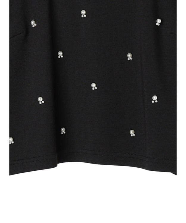 earth music&ecology パールポイントプルオーバー Black