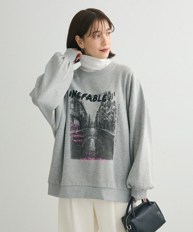 Green Parks ・ＤＯＵＢＬＥ　ＦＬＡＧＳ　フォトｐｔスウェット