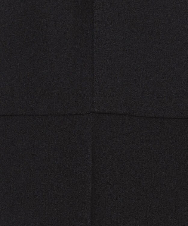 23区 【APPLAUDIR】クリアジョーゼット オールインワン ブラック系