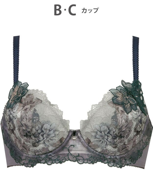 Wing ブラジャー Wing Lesiage サイドすっきり しっかりフィット 【2900シリーズ】 ブラ PB2900 ウイング／ワコール ダークブラウン