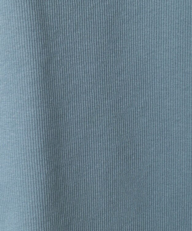 Green Parks ・ＳＵＧＡＲ　ＳＰＯＯＮ　ビスチェラインリブロンＴＥＥ Blue