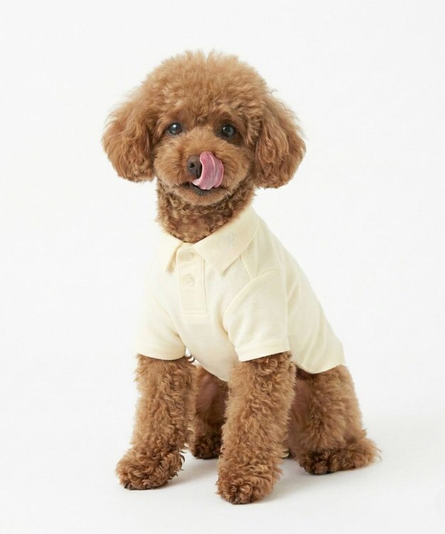 OP／FILA 【Ocean Pacific】ポロシャツ風ドッグウェア ペットウェア ホワイト