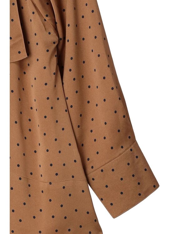 Green Parks Ｂ．ドットリボンブラウス Camel