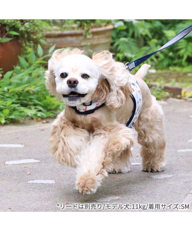 PET PARADISE リサとガスパール 保冷剤ポケット付き ハーネス ＳＭ 中型犬 保冷剤付き