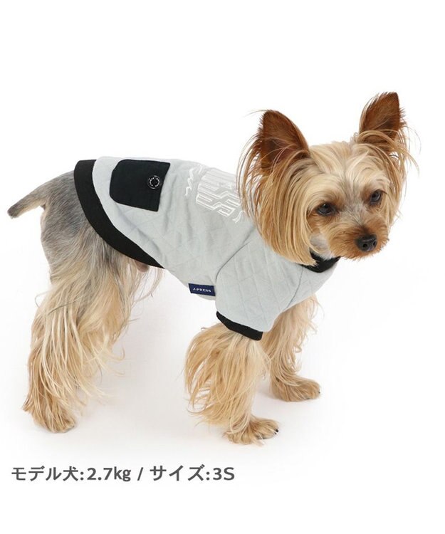 PET PARADISE J.PRESS キルトプルオーバー 【小型犬】 グレー